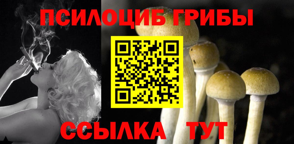 Псилоцибиновые грибы Magic Shrooms  где можно купить наркотик  Санкт-Петербург  Вход с VPN  Псилоцибиновые грибы мухоморы 