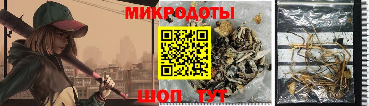 Псилоцибиновые грибы прущие грибы Санкт-Петербург